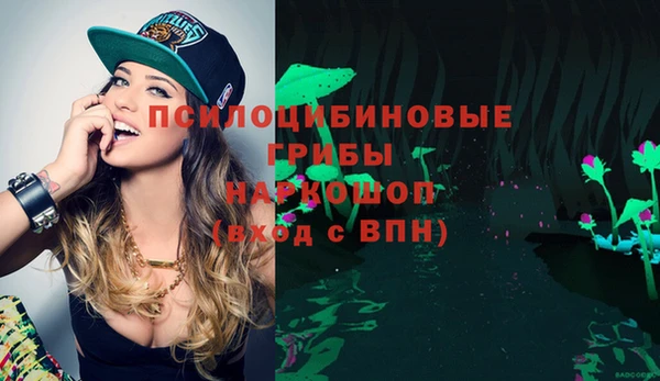 соль курить ск Верхний Тагил